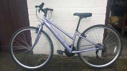 Photo of free Ladies bike (Tonbridge TN9) #1