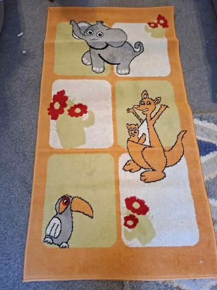 Photo of free Rug for Children's Room (NE12 West Moor) #1