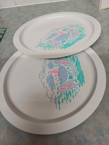 Photo of free Two plastic picnic plates (Earley RG6) #1