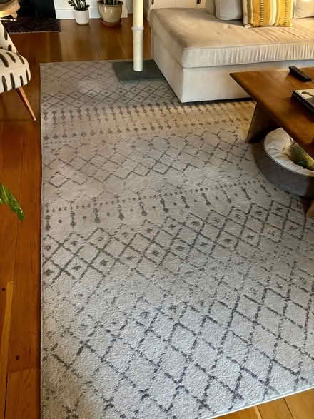 Photo of free Moroccan/geometric rug (Upper Dimond) #3