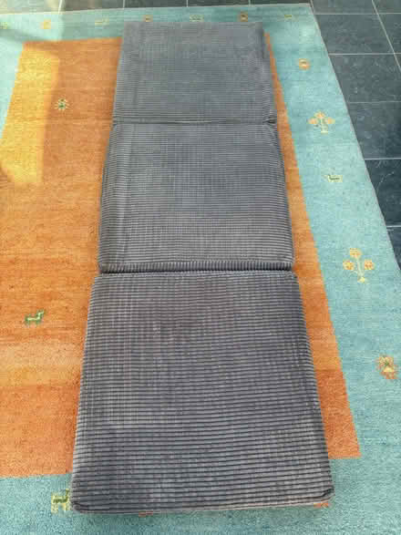 Photo of free Cushion/put up bed (Birchwood LN6) #3
