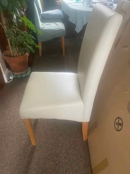Photo of free 6 Dining Chairs (Orpington BR5) #1