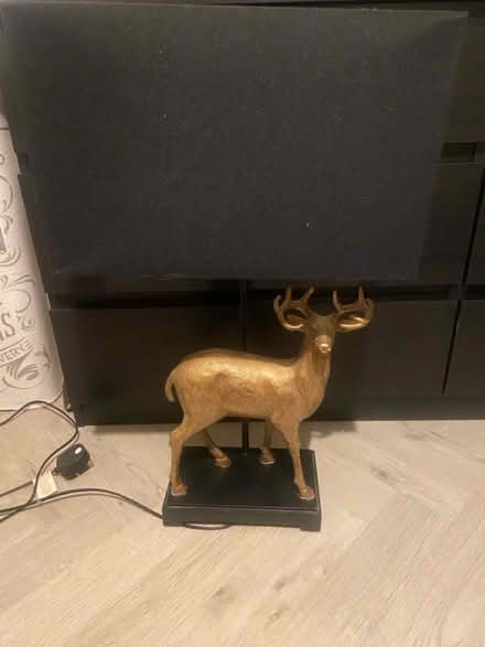Photo of free Stag lamp (Coldean) #1