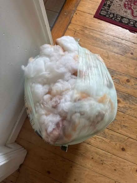 Photo of free Bag of stuffing / foam (Cambridge Heath E9) #1