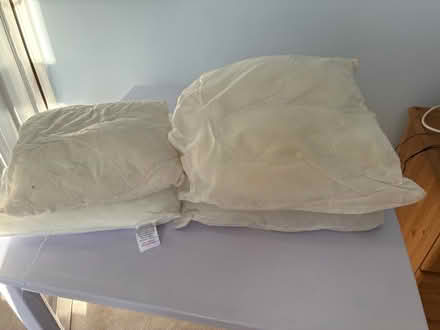 Photo of free Cushions inserts x 5 (Bromley BR2) #1