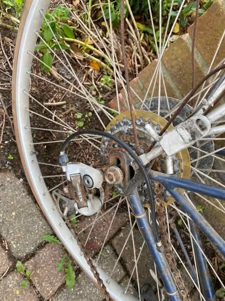 Photo of free Tandem (Seven Dials BN1) #4
