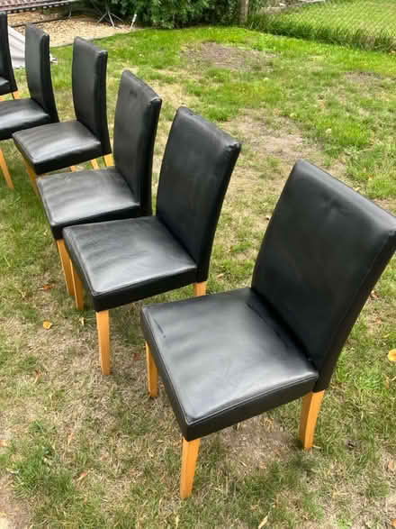 Photo of free Eight dining chairs (Chorleywood WD3) #2