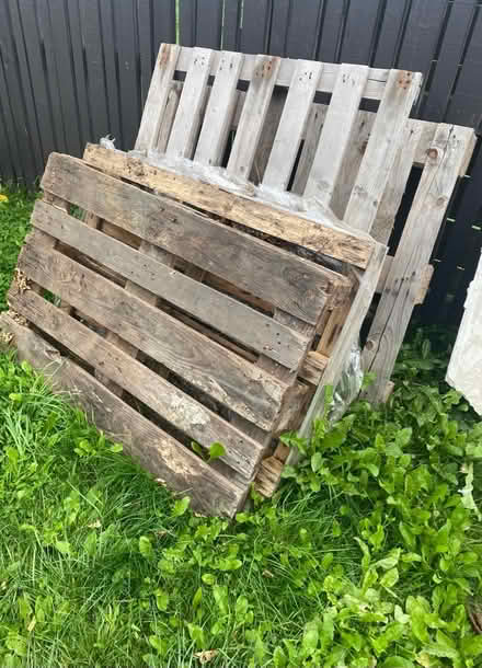 Photo of free 4x pallets (S2 Sheffield) #1