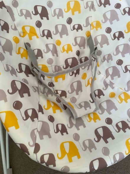 Photo of free Baby bouncer Chair (Barming) #2