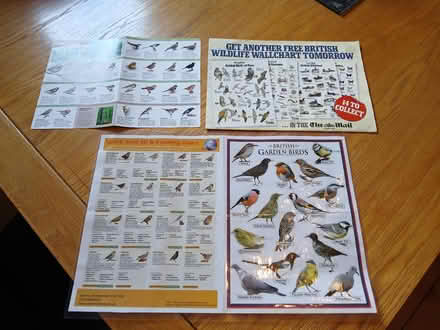 Photo of free Birdwatching posters / info (Parkhead EH11) #1