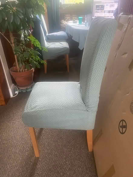 Photo of free 6 Dining Chairs (Orpington BR5) #4