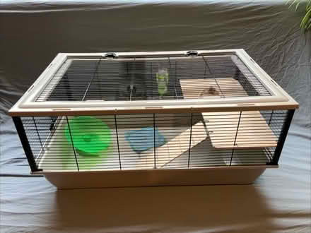 Photo of free Hámster cages (Backwell BS48) #3