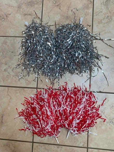 Photo of free Pom poms (Sunnyvale Birdland) #1