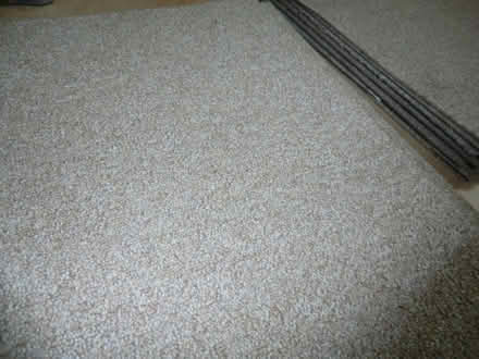 Photo of free Carpet Tiles 50cm x 50cm (Mannofield AB10) #1