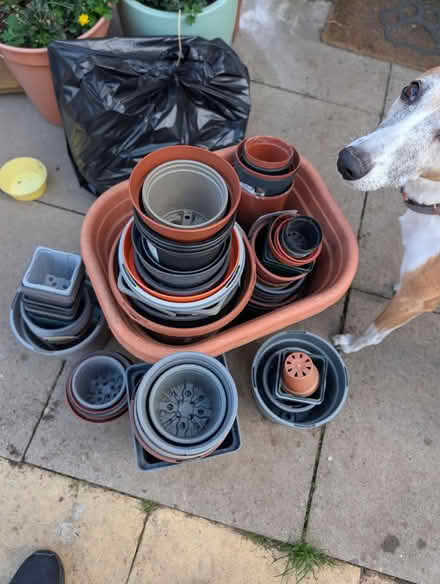 Photo of free Garden pots (Luton , LU1) #1