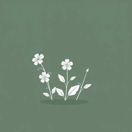 Photo of free Perennial geranium plants (Waverton CH3) #1