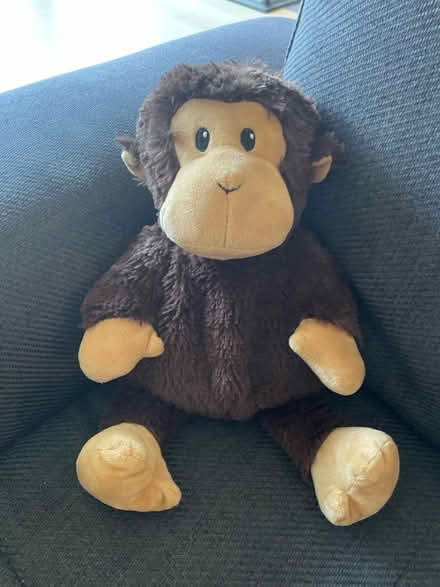 Photo of free Plush monkey heated beanbag (North Road BA2) #1