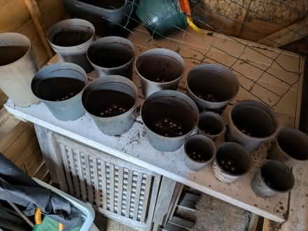 Photo of free Plastic plants pots (Mosspark, Glasgow G52) #1