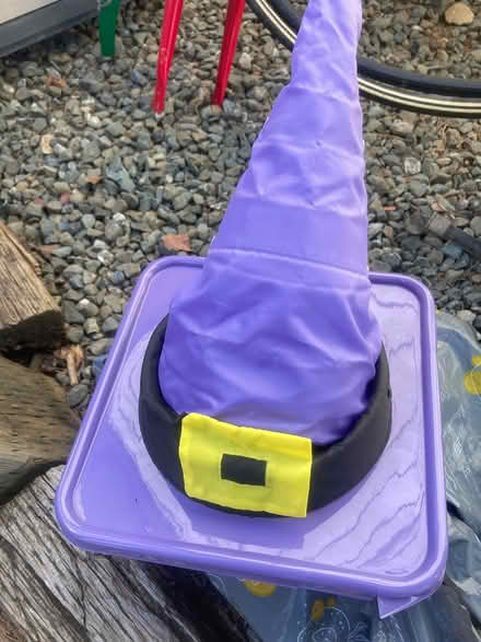 Photo of free 3 purple witch hatch for (Foothill Boulevard Cupertino) #1