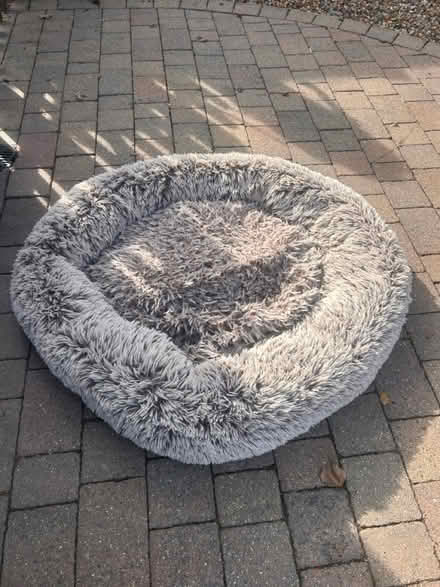 Photo of free Dog bed (Rochester ME1) #1