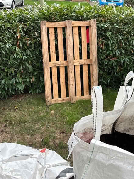 Photo of free Pallet (Romsey) #1