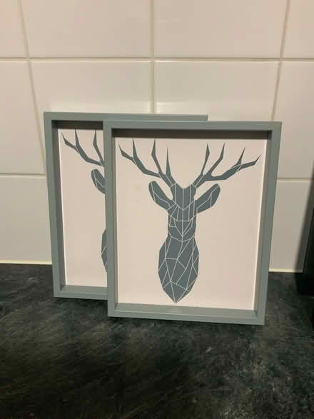 Photo of free Stag print frames (Erith DA8) #1