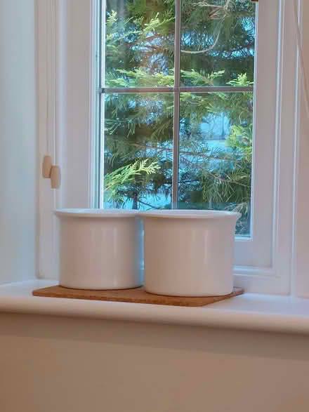 Photo of free Plant pots (Hampsthwaite HG3) #1