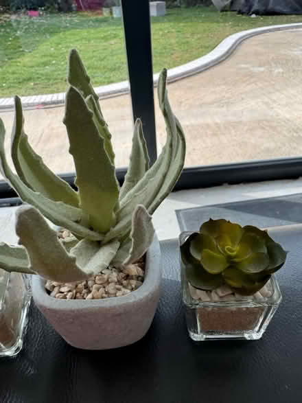 Photo of free Faux miniature plants (Burpham surrey) #2