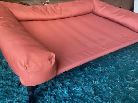 Photo of free Dog bed (Wokingham RG41) #1