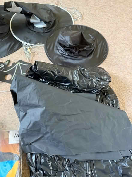 Photo of free Halloween kids fancy dress (Malvern WR14) #4