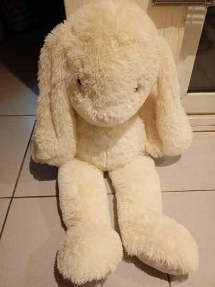 Photo of free Extra large white teddy (Richmond TW10) #2