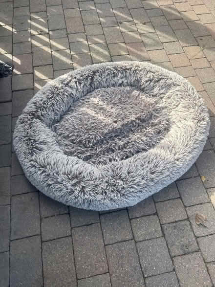 Photo of free Dog bed (Borstal ME1) #1
