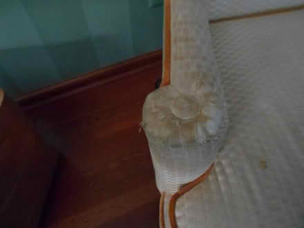 Photo of free Wingback Chair (Troy) #3