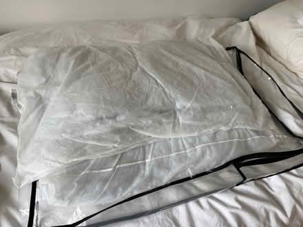 Photo of free Two thin pillows (East Oxford OX4) #1