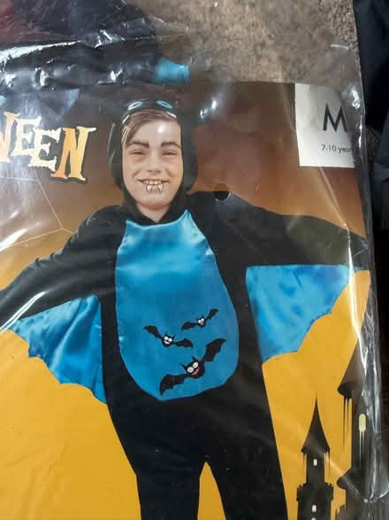 Photo of free Halloween kids fancy dress (Malvern WR14) #3