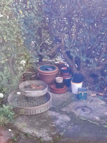 Photo of free Gardening items (Cummings Park AB16) #1