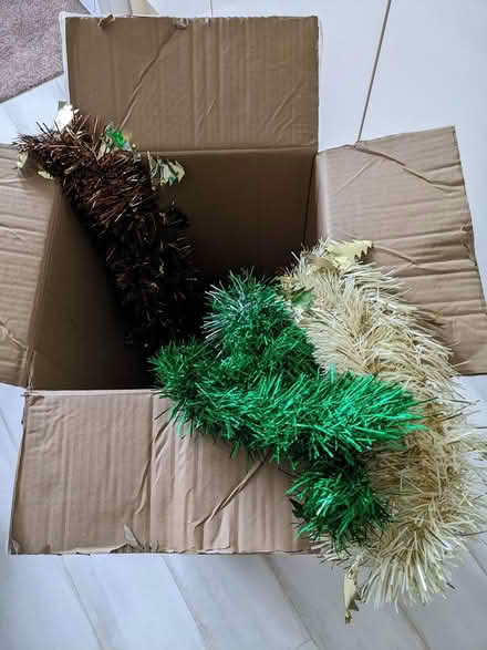 Photo of free small xmas tree (snodland) #3