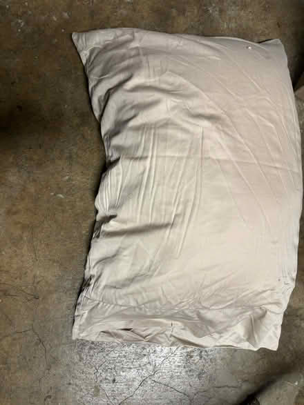 Photo of free Bed pillow with pillow case (Mitty High area) #1