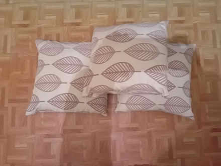 Photo of free Scatter cushions (Rose Hill OX4) #1