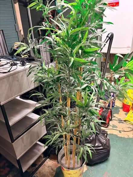 Photo of free IKEA artificial bamboo (Maidenhead SL6) #1