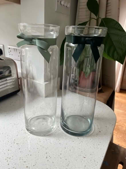 Photo of free Two large glass vases (Shoreham by sea) #1