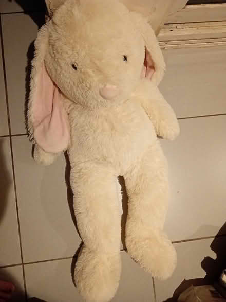 Photo of free Extra large white teddy (Richmond TW10) #3