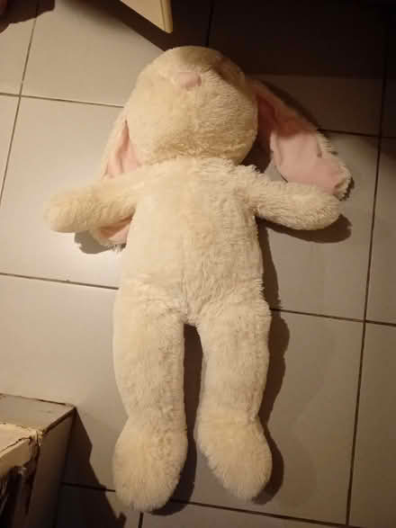 Photo of free Extra large white teddy (Richmond TW10) #1
