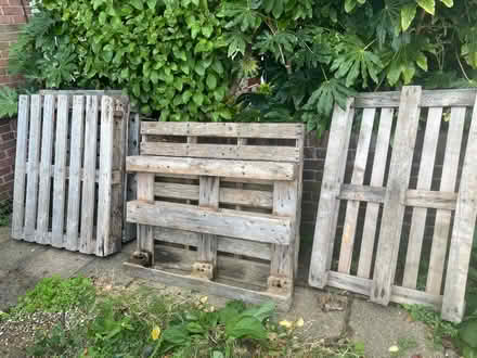 Photo of free Pallets (Eastbourne) #1