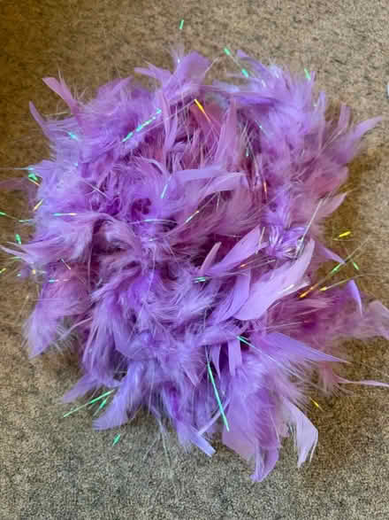 Photo of free Fairy wings, feather boas and beaded headpiece (Malvern WR14) #3