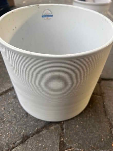 Photo of free White indoor plant pot (Broxbourne EN10) #1