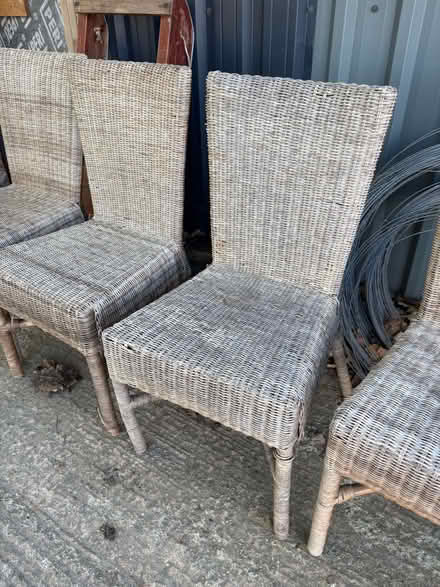 Photo of free Wicker Dining Chairs x 4 (East Mersea CO5) #4