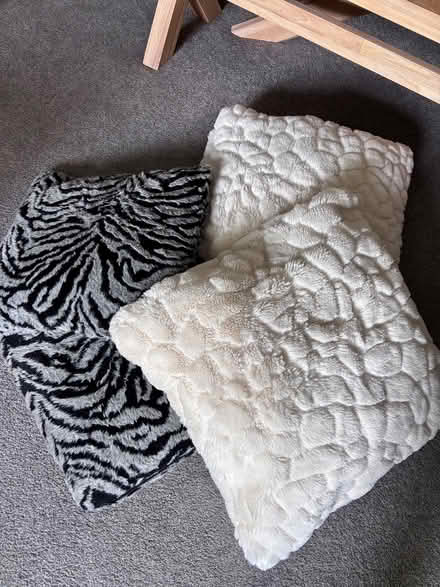 Photo of free Four Cushions (Surbiton KT6) #1