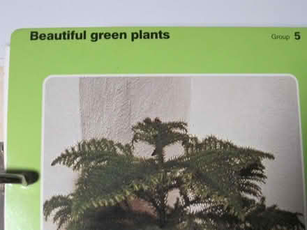 Photo of free Success with House Plants (Bowie) #3