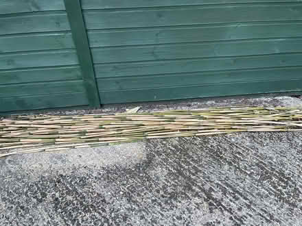 Photo of free Bamboo canes (Leverstock Green HP2) #1